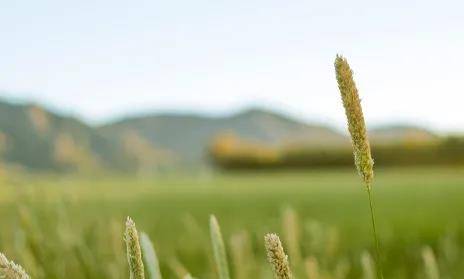 【新加坡留學】一大波豐厚獎學金來襲!等待應屆高考生的你來領取