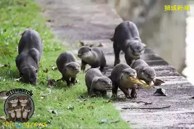 海景豪宅到底有多爽？新加坡东海岸度假风 永久地契公寓 The line@tanjong rhu 【俯瞰东海岸 远眺滨海湾】
