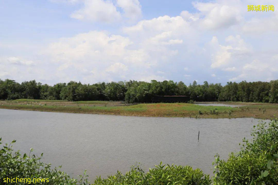 這個號稱新加坡最美濕地的遛娃好去處，竟然還能這麽玩