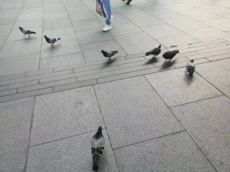 我的新加坡旅行合集