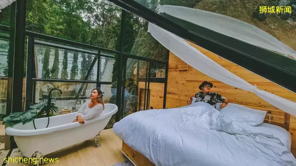 在原始森林裏的精致玻璃屋露營@泰國清邁!超美360度森林景觀、避世豪華享受