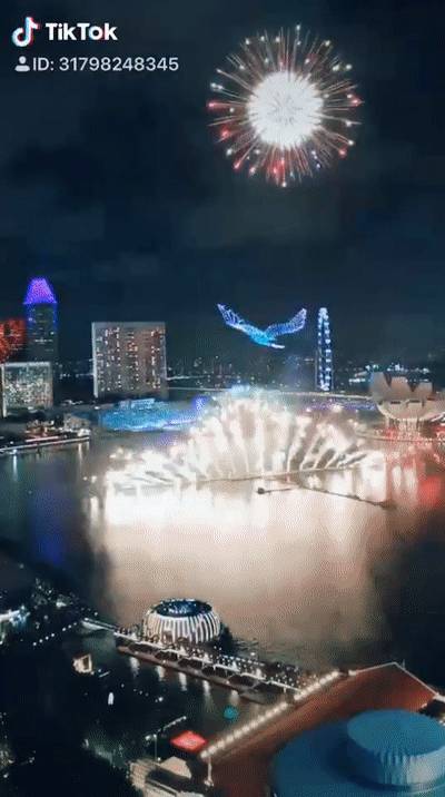 最全攻略！今年在新加坡过年的人，太让人羡慕了