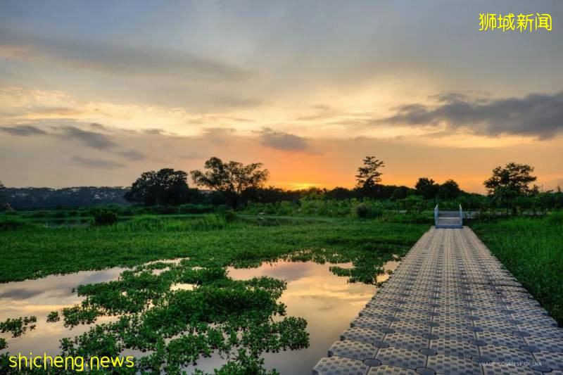 新加坡人少景美的5個遛娃公園,第一個就心動了