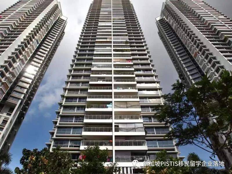 超強整理:在新加坡,公民、PR和外國人到底福利差距有多少