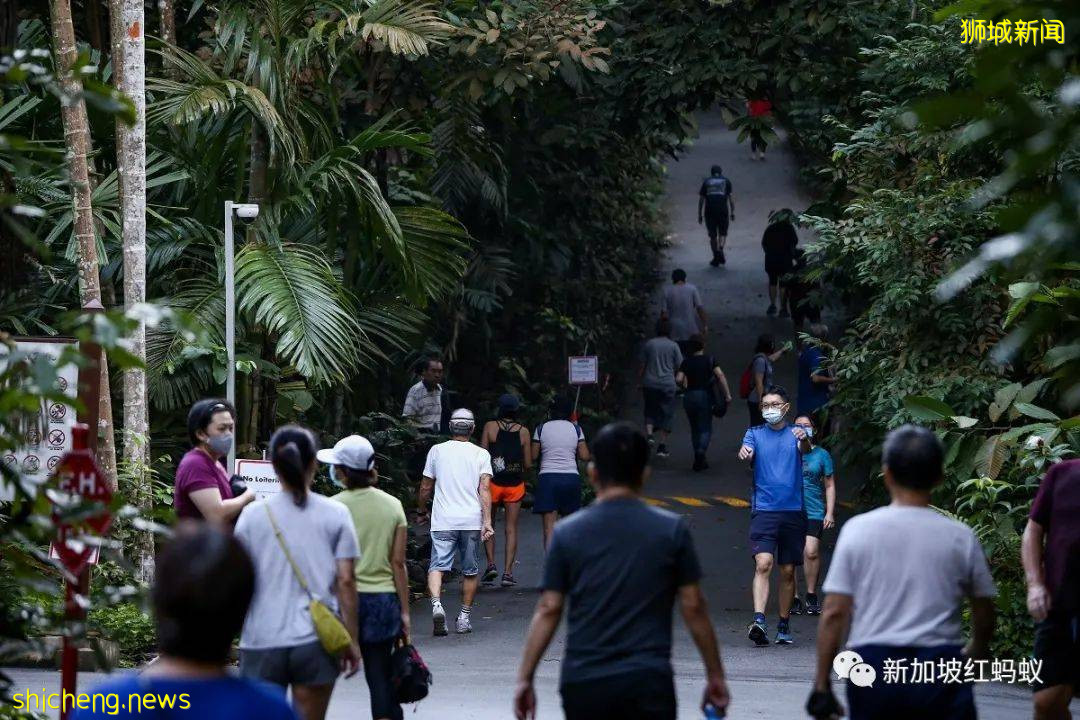 允许公众在户外摘下口罩？　新加坡传染病专家：我们还没Ready