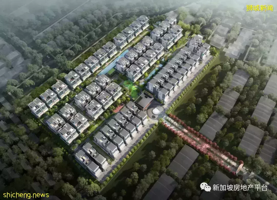 璀璨星光，仅存余量！Belgravia Ace (D28邮区 宏茂桥）