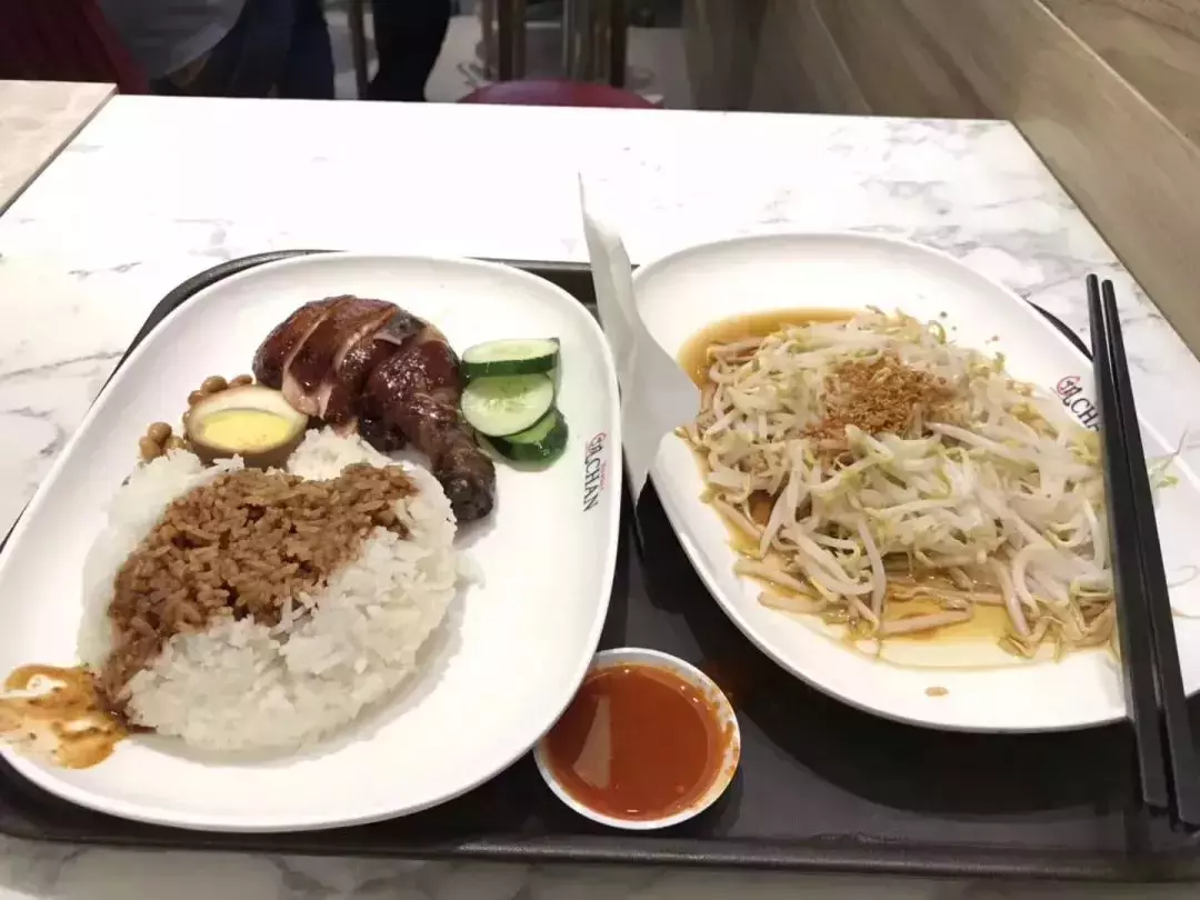 在中國小姐姐眼中,新加坡竟然是這樣的