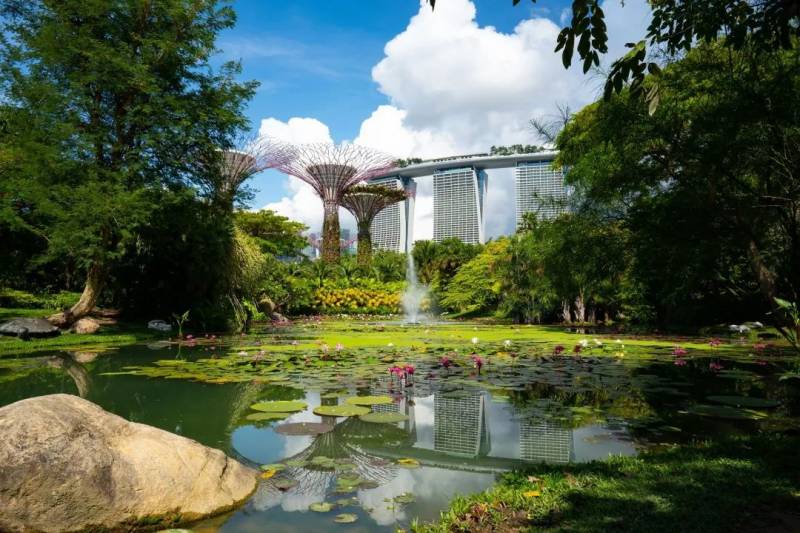滨海湾花园空中走道9月7日起重开,灯光秀时间有更动