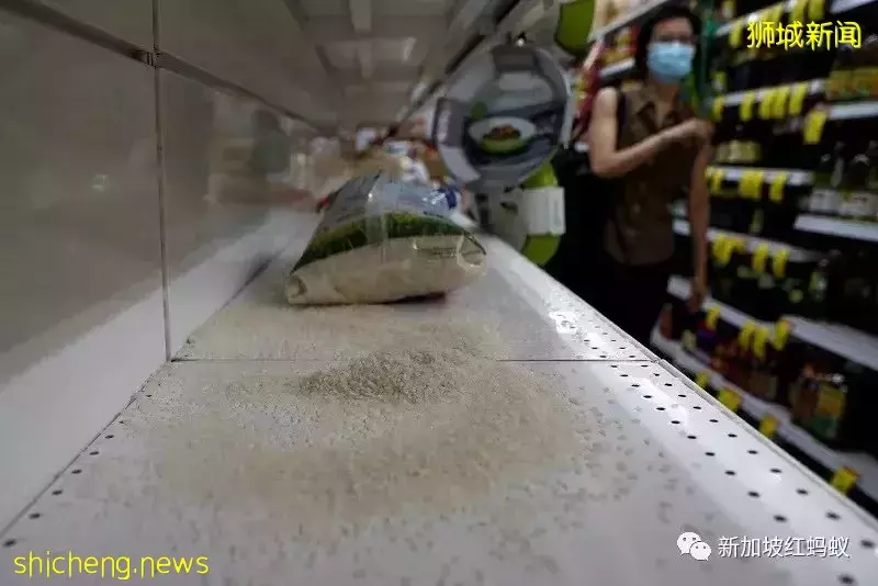 全球气温上升或影响食品进口 新加坡研发出耐旱“国产米”和快熟面