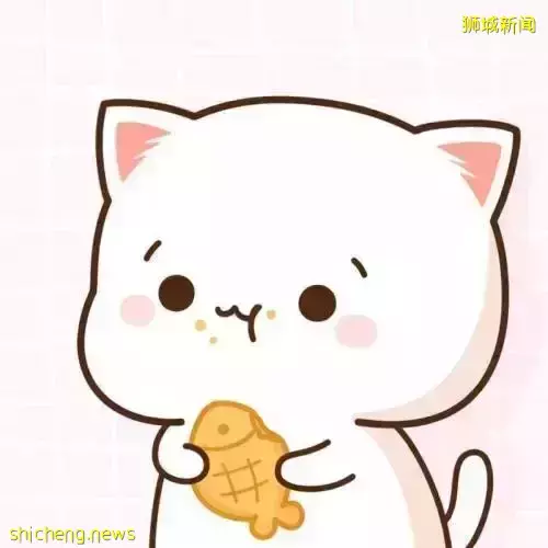 新加坡黑心房东赶租客扣押金，近20名受害者联合建群维权