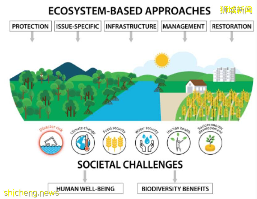 南大、格拉斯哥学者团队:东南亚国家急需提高抗灾能力