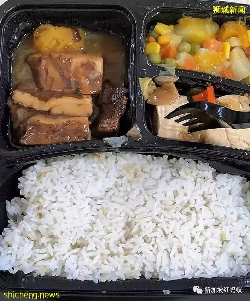 身为素食者在新加坡当兵不吃亏 军中素食餐盒颠覆你我想像