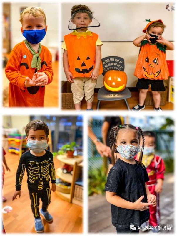 新加坡德威國際學校