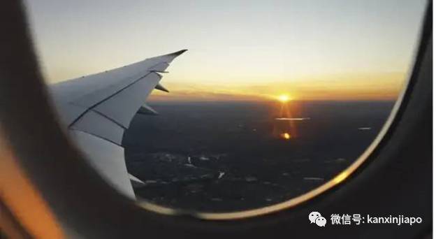 拥有“超强小红书”也没用，2020年新加坡护照更新量大砍半