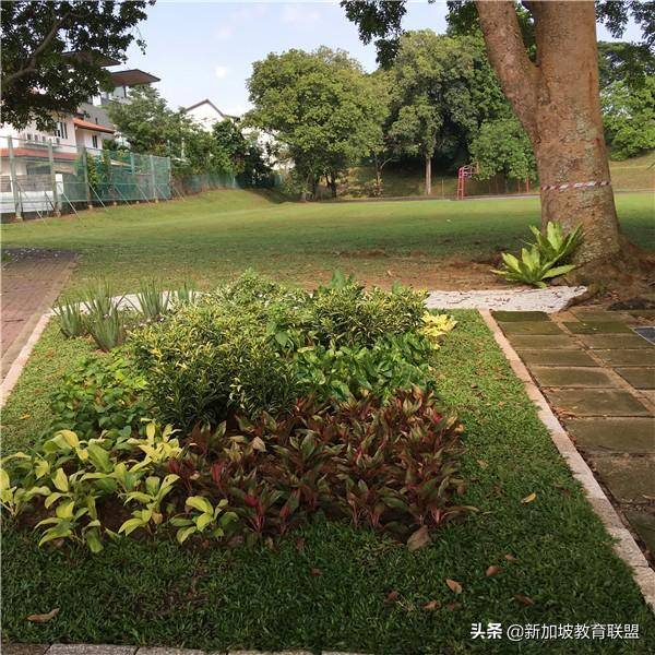 申请新加坡低龄留学，都有哪些优势