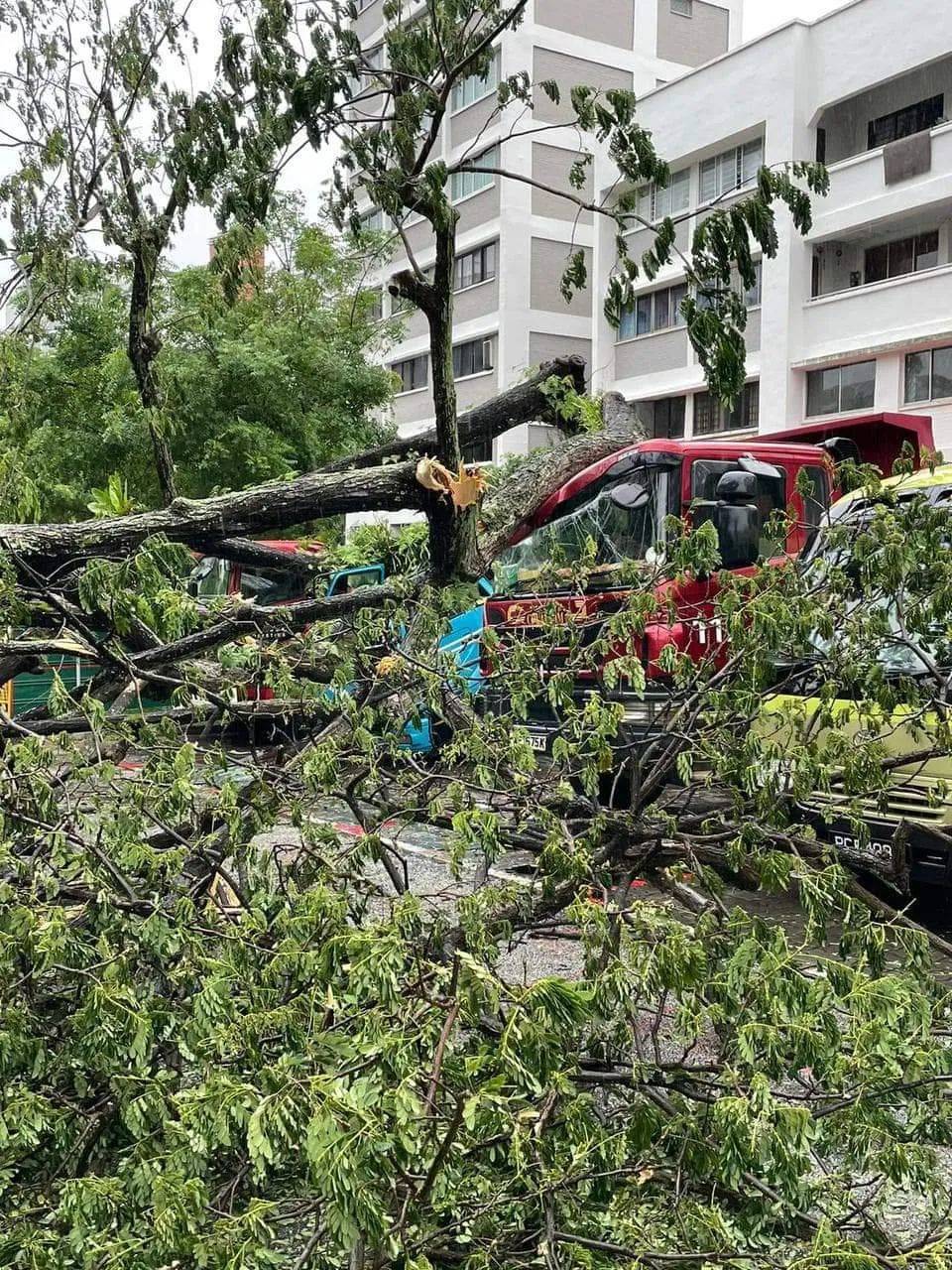 昨天!新加坡遭40年来最强暴雨袭击,全岛多处被洪水淹没,驾车犹如水中行船