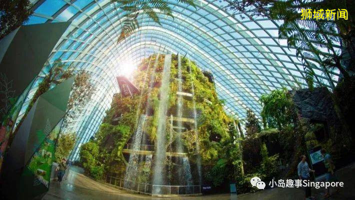 滨海湾花园吼你去玩啦!花穹和云雾林门票20新币,半年内可以去无限次