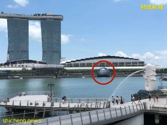 搶先看!新加坡第三家蘋果店竟開在水上!外形酷炫已刷屏