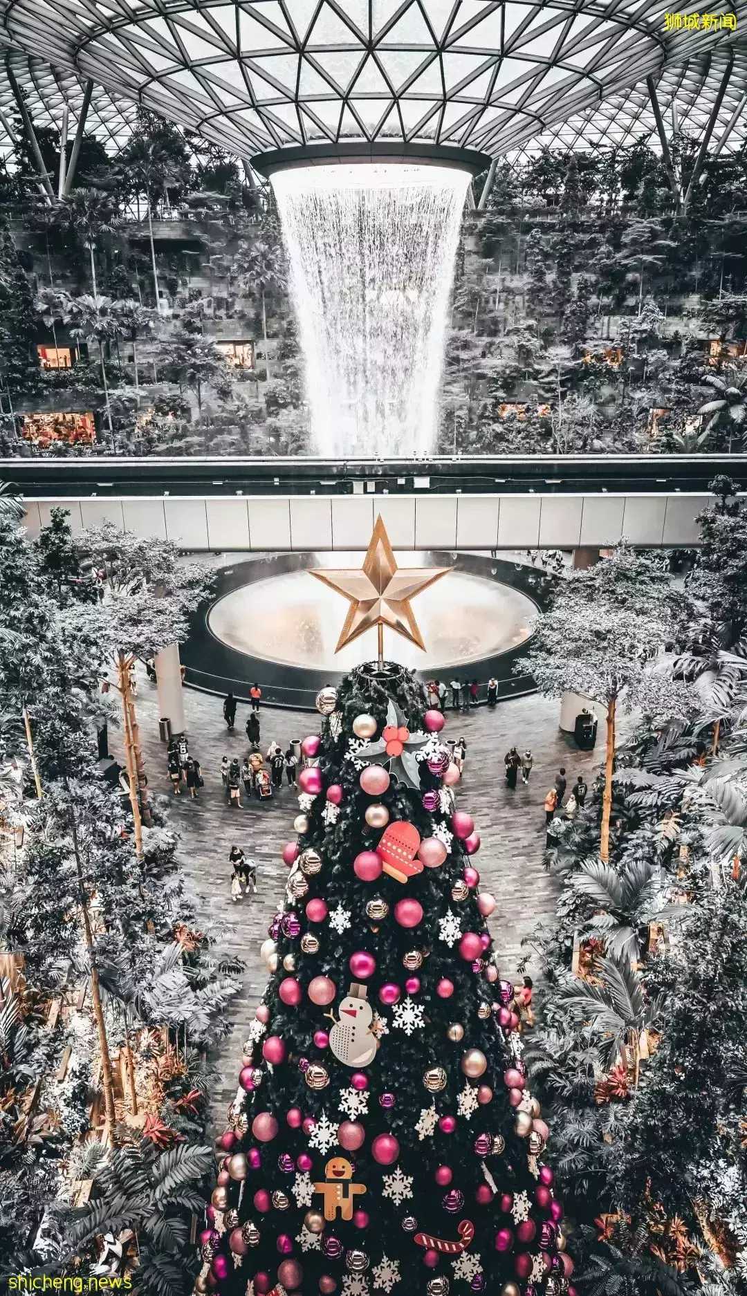 聖誕節來臨 快來新加坡打卡哦