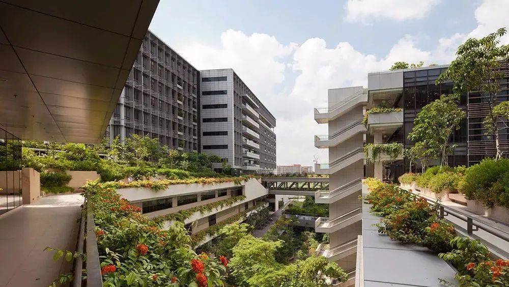 【医疗健康】“花园中的医院,医院中的花园”——新加坡邱德拔医院