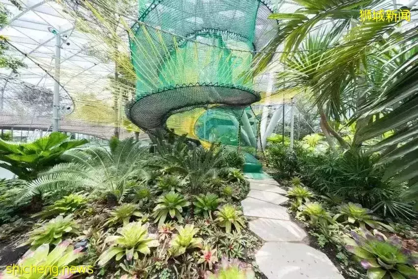 去新加坡旅遊，我保證你連機場都走不出去