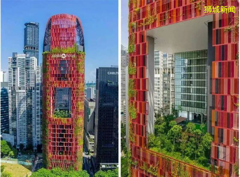 园林面积占国土的八分之一，新加坡是怎样成为“花园城市”的