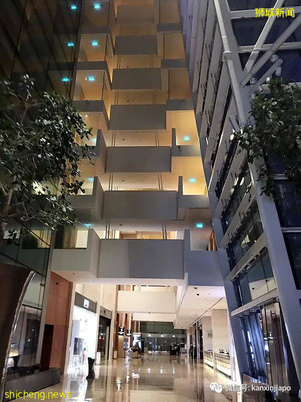 我從中國返回新加坡，在金沙酒店隔離14天