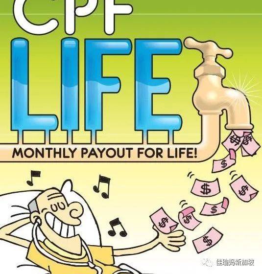 70岁还要去食阁端盘子?深扒新移民在新加坡如何养老