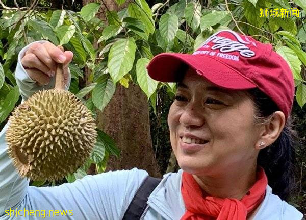 义顺公园 捡榴梿引热议 有人撑伞护头 苦守通宵