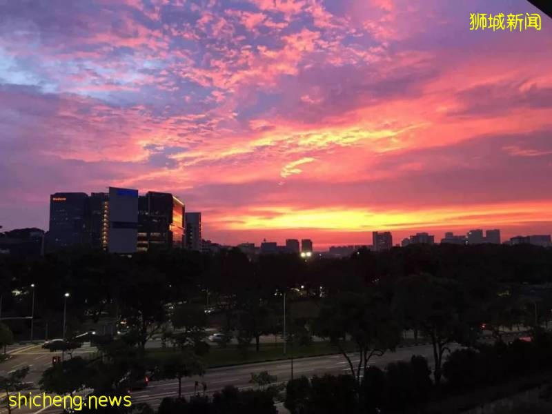 這樣的新加坡真是待不下！去！了