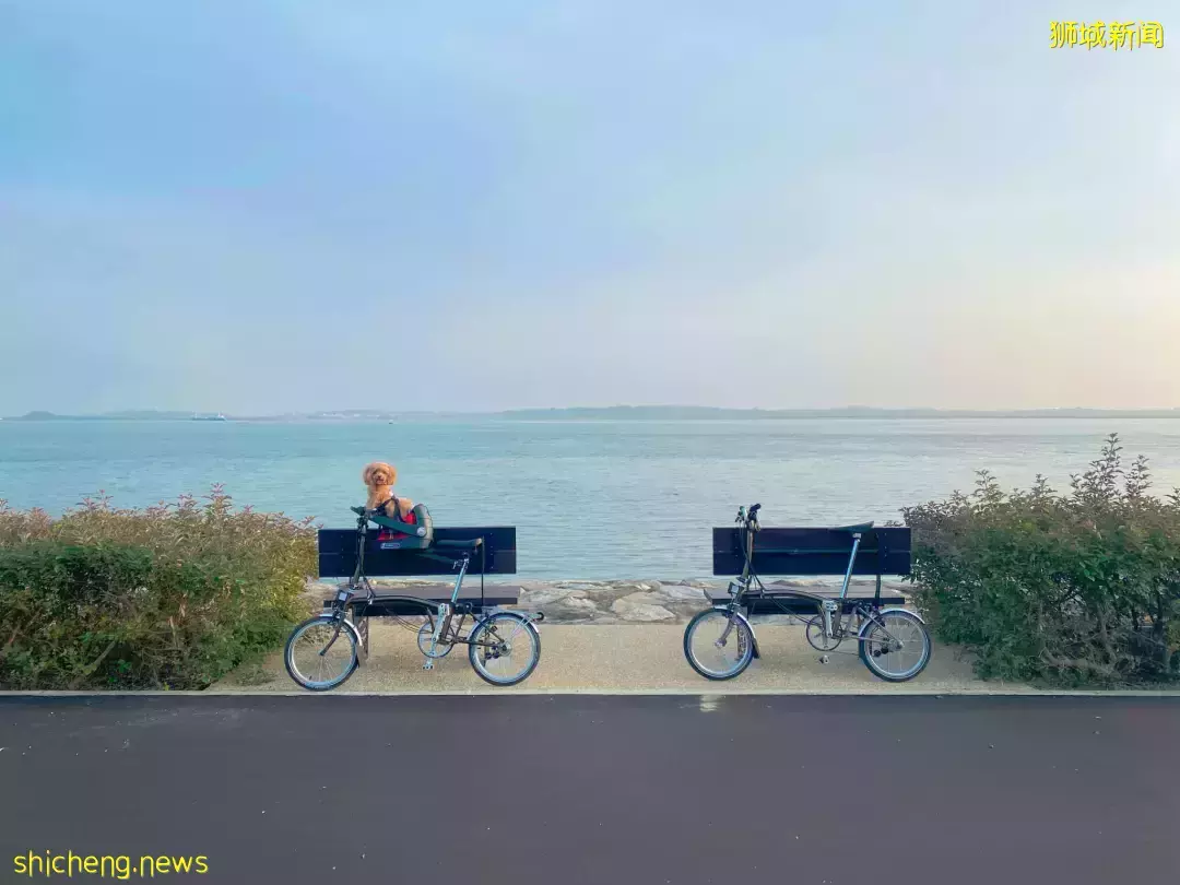 新加坡最新网红景点!风景绝美必打卡