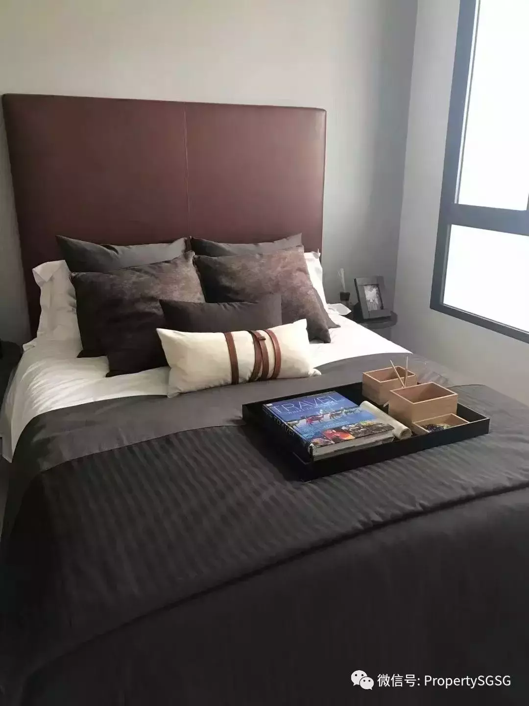 【近期优质/划算二手房源分享】新加坡市区公寓