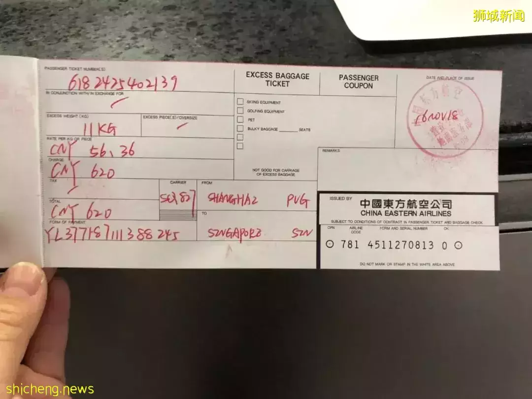 耗时6个月,隔离30天,我的宝贝终于来新加坡跟我团聚了