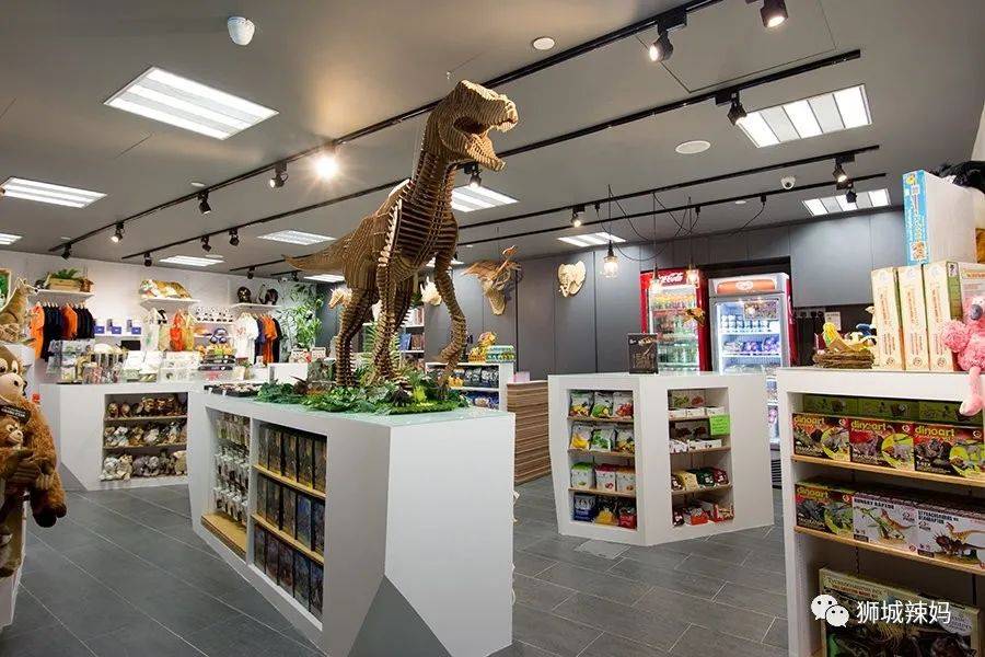 恐龍化石、抹香鯨骨架、初代巨星阿明……100W+動植物標本竟然藏在新加坡這個地方