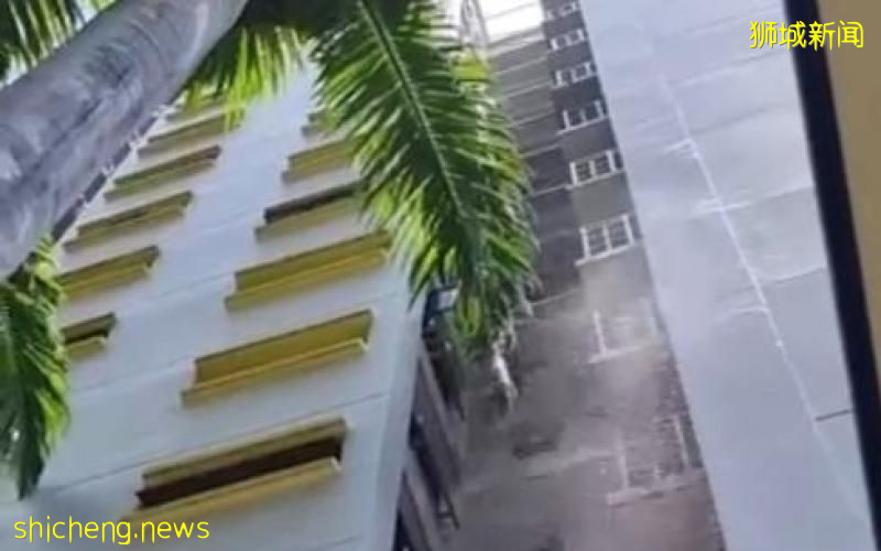 七旬嫂高楼喷洗鸟粪  六楼层邻居受影响