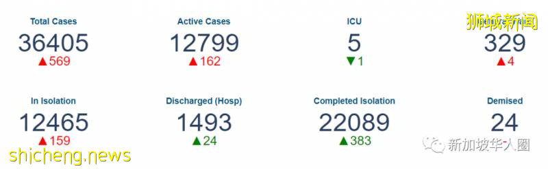 新增517例!新加坡-中國快捷通道6月8日啓用!陰性者無須隔離!