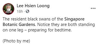 李显龙总理怎么休假？狂晒一大波美图