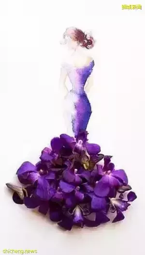 新加坡的性别平权是如何做到亚洲最好的