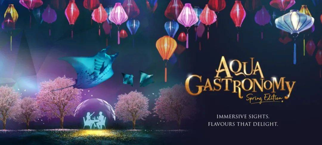 新加坡SEA海洋馆深蓝夜宴【新春特别版】登场!海底舞龙贺岁又来啦