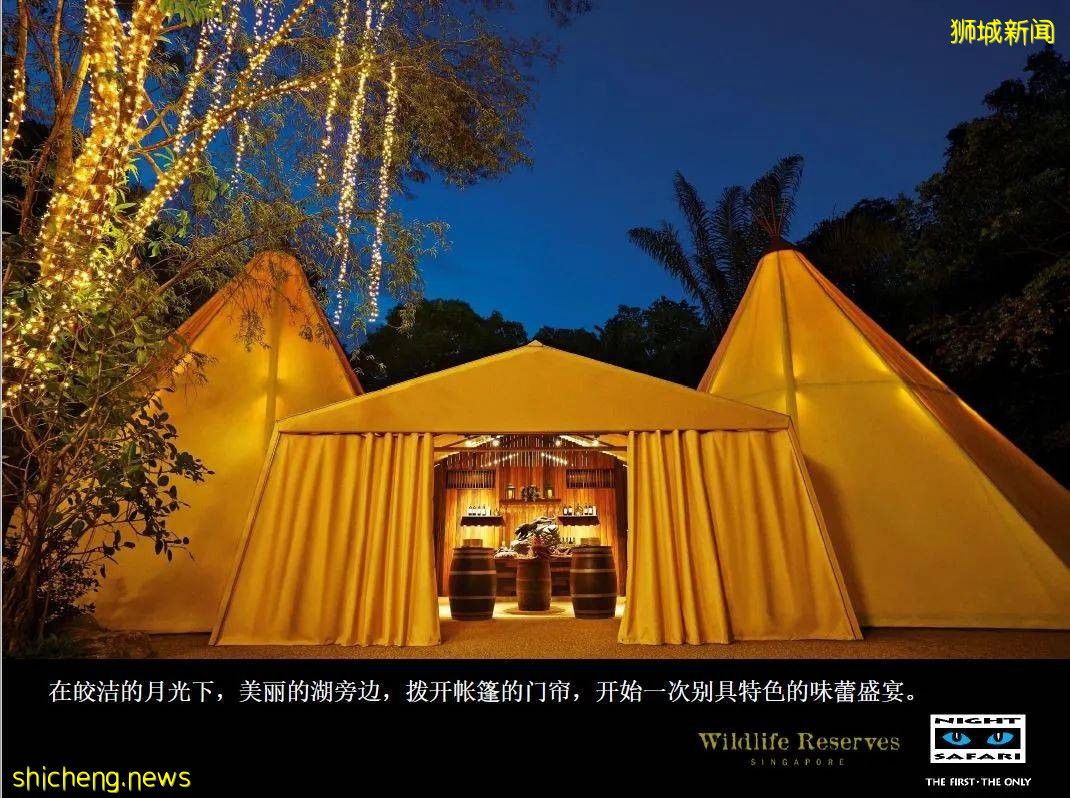 新加坡 中秋節野生動物之夜!酷炫探險~帳篷晚餐~賞月之旅