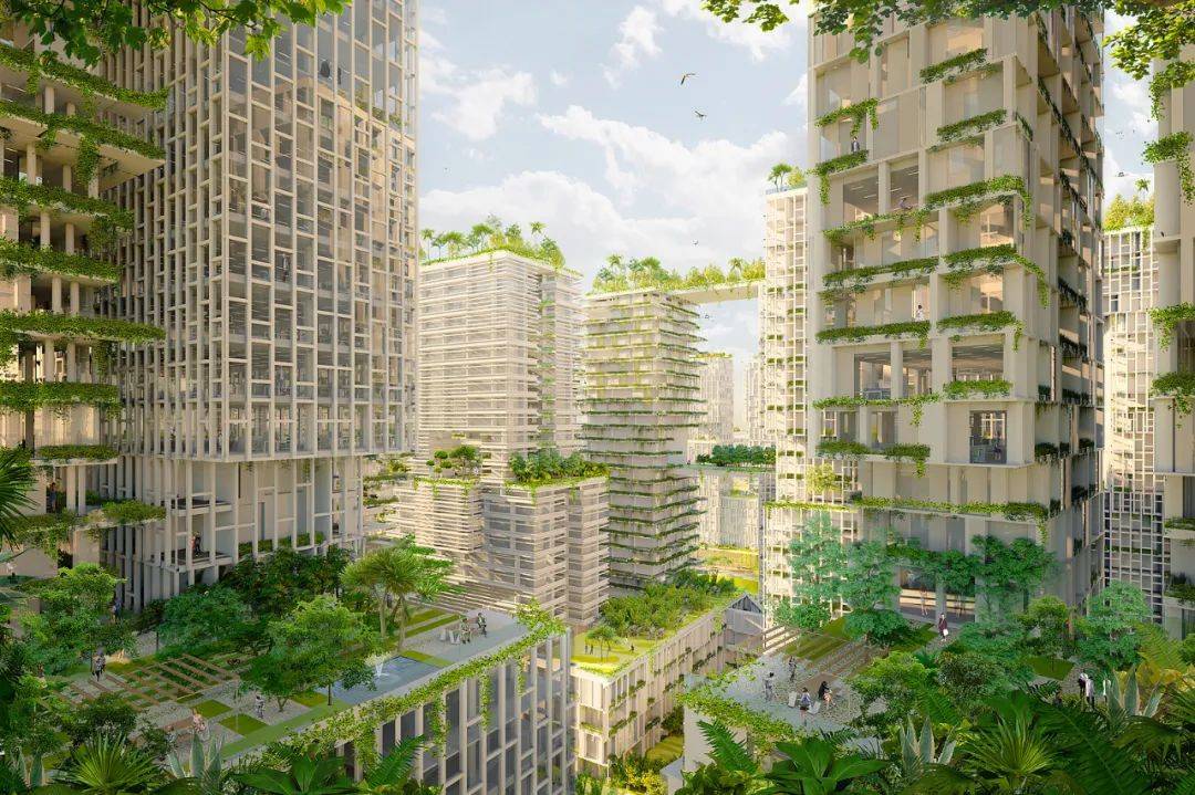 新隆高铁取消后，这群人哭了！专家分析：裕廊照样飞起