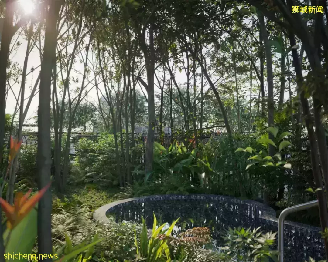 新加坡又出全景观公寓,示范了真正的花园式小区