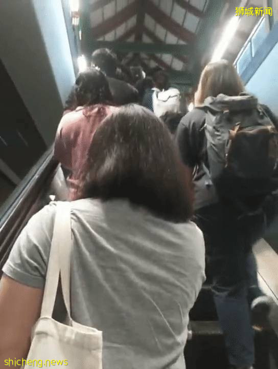 新增544,累計35836 | 新加坡"解封",仿佛一夜之間醒來!