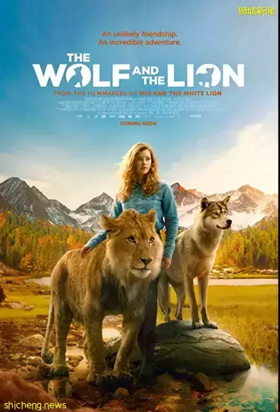 賀歲片攻略！25部電影將在新加坡上映！古天樂、黃渤、賈玲來了