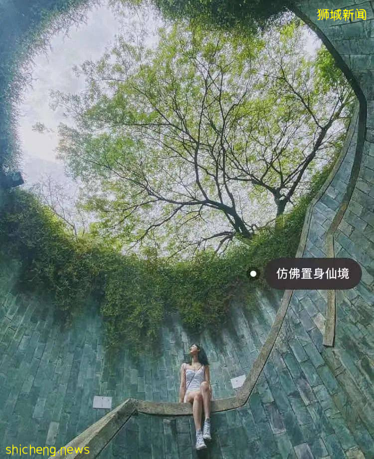 玩在獅城 盤點全島這15個免費景點，讓你玩的省錢又開心