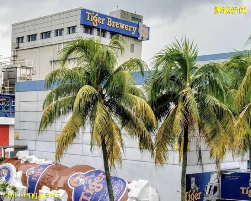 新加坡小衆INS打卡地，收藏給即將要來的朋友們吧