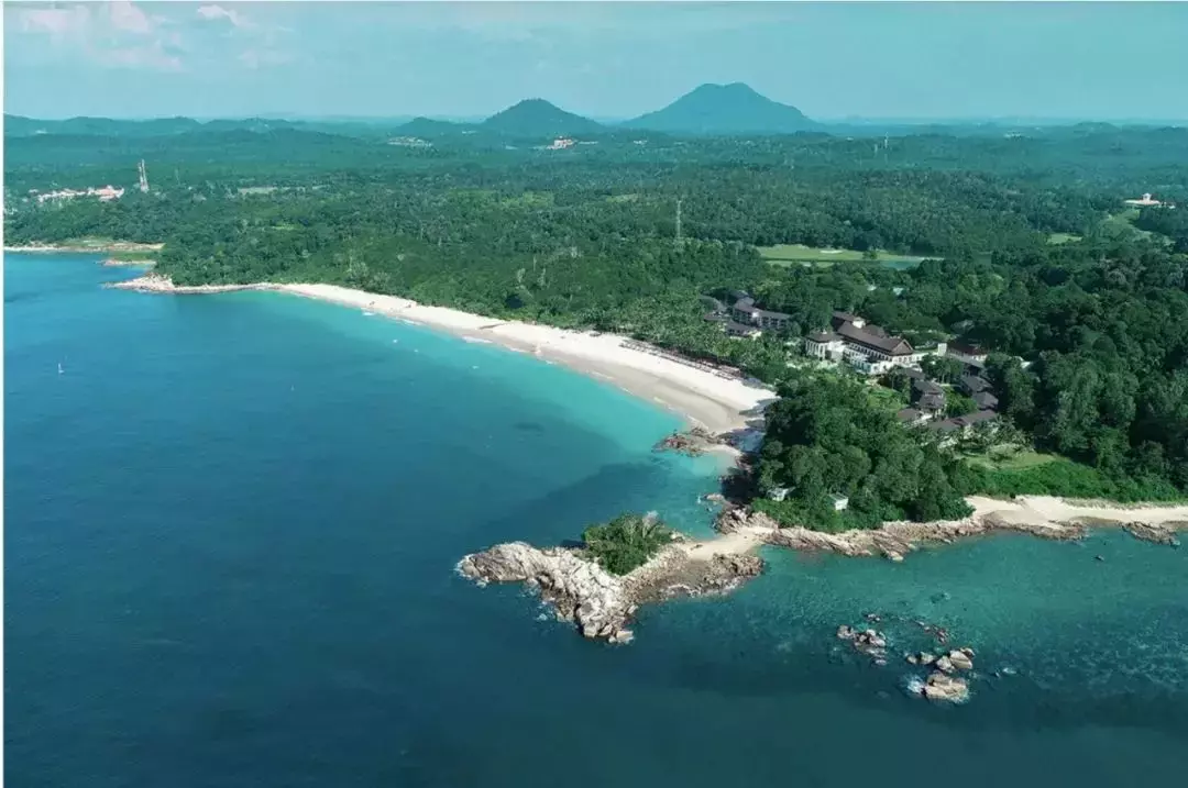 世卫竟催促各国解封! 李总理出国，民丹、巴淡岛将对坡免隔离开放