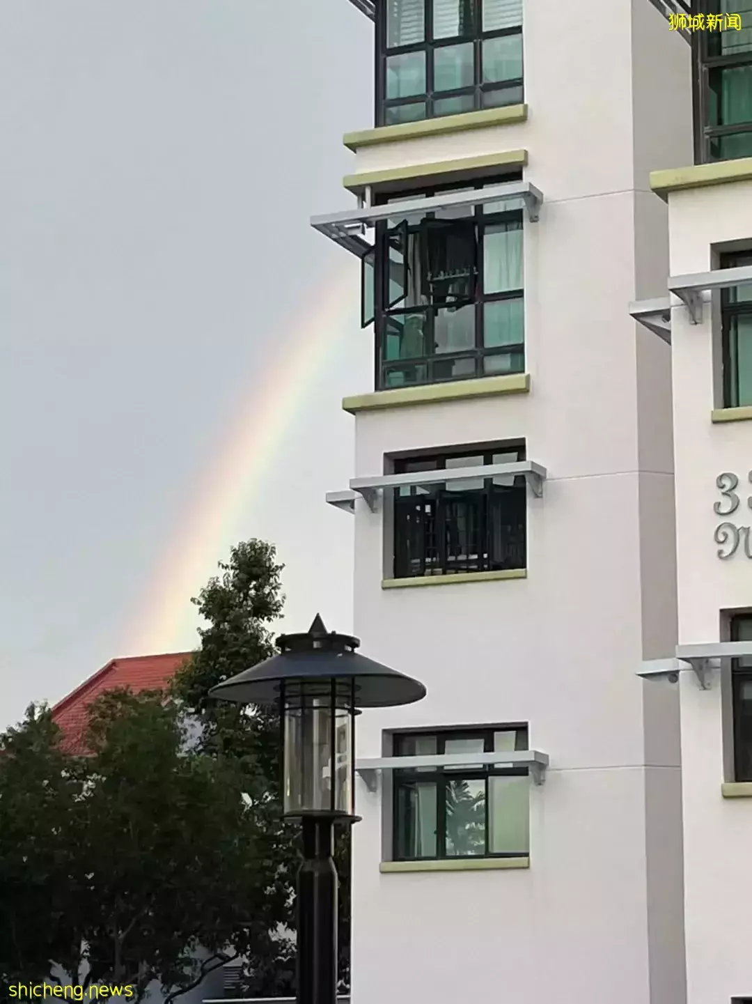 新加坡富人區驚現一匹黑馬奔騰!網友表示:好羨慕花園城市