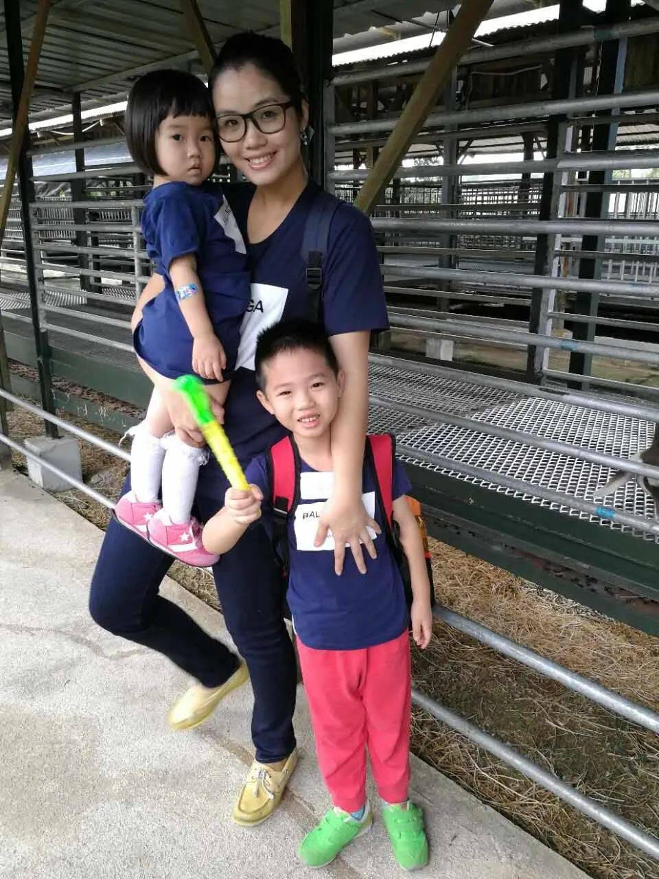 餵羊、擠奶、了解青蛙生長過程,新加坡的農場這麽牛