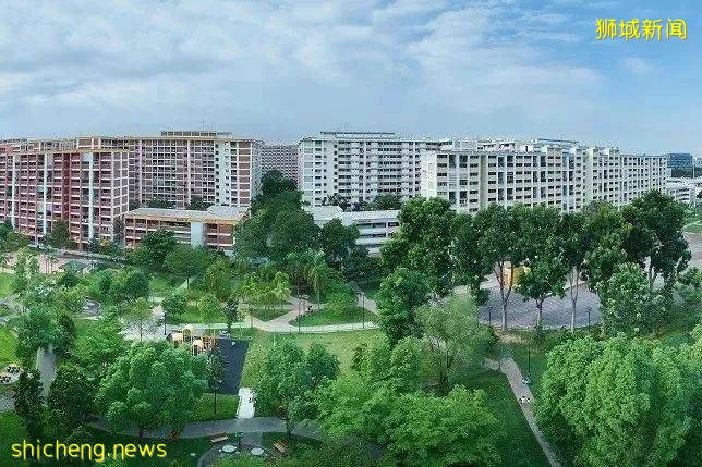 新加坡丨到了新加坡才知道的那些事兒（七）